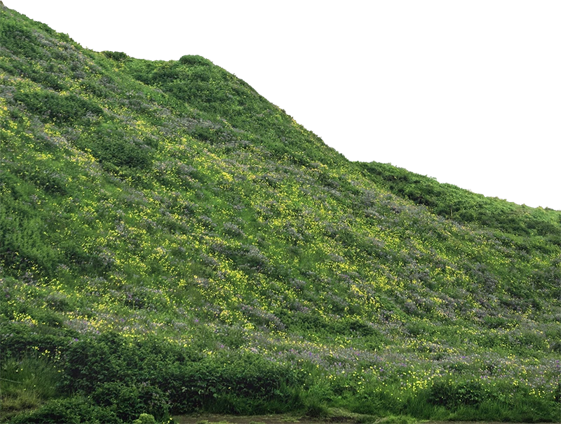 Hill